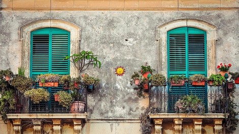 Z zunanjimi rastlinami polepšajte balkon, teraso ali vhod v  stanovanje