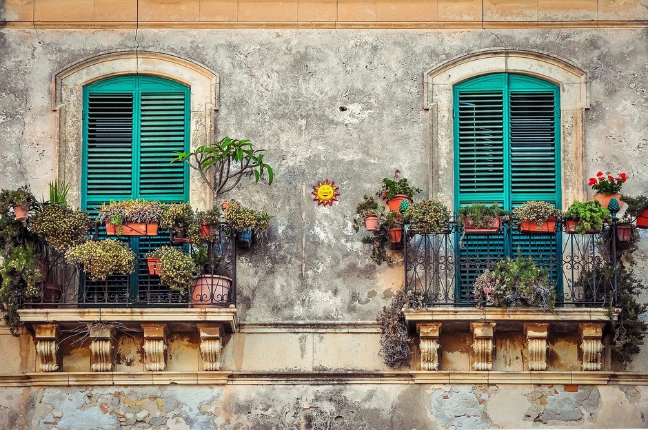 Z zunanjimi rastlinami polepšajte balkon, teraso ali vhod v  stanovanje (foto: Pixabay)