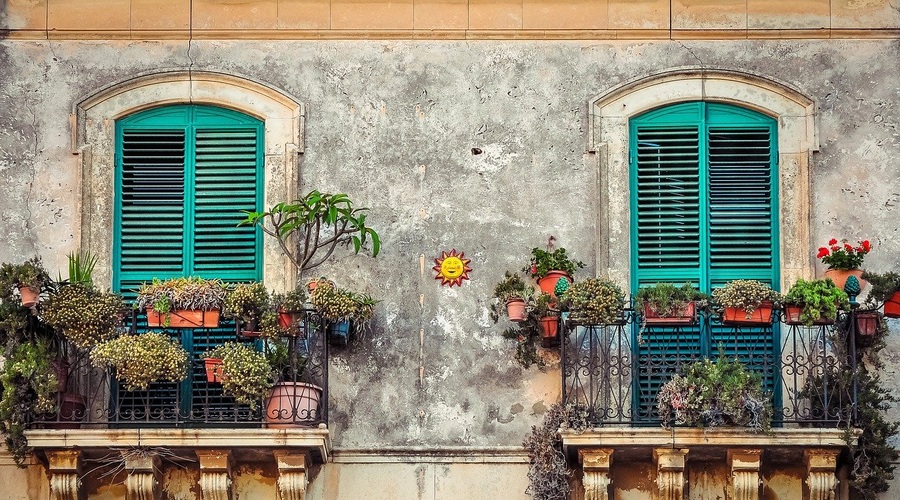 Z zunanjimi rastlinami polepšajte balkon, teraso ali vhod v  stanovanje (foto: Pixabay)