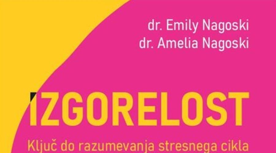 Knjižna uspešnica: Izgorelost: Ključ do razumevanja stresnega cikla (foto: Hiša knjig)