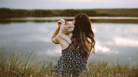 Mačke se na skrbnike enako močno navežejo kot otroci in psi, kažejo študije