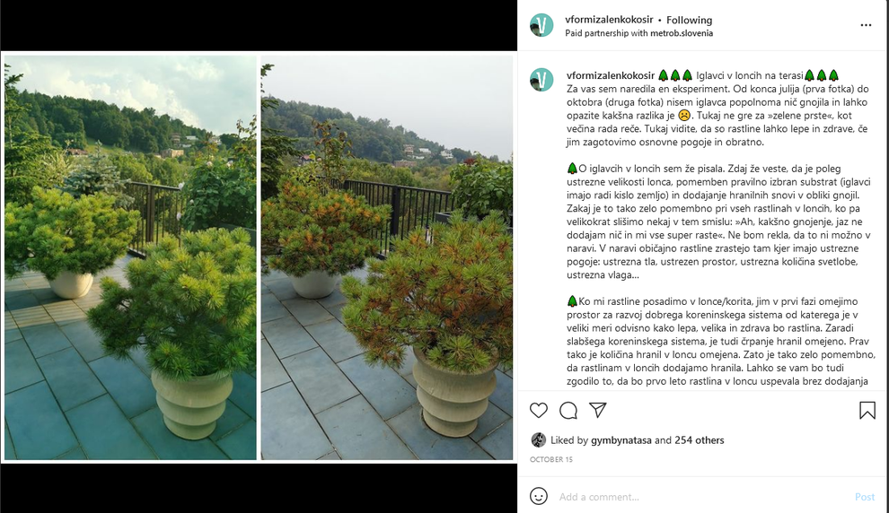 Na svoji čudoviti terasi je v loncih zasadila iglavce, ki očarajo s svojo lepoto. Nič čudnega ni, da njena družina …