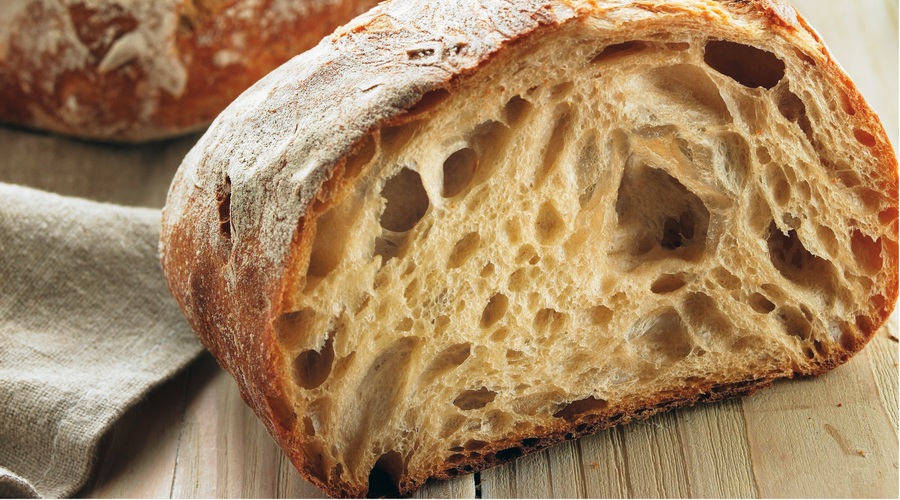 Brez fermentacije ni dobrega kruha (foto: Fala)