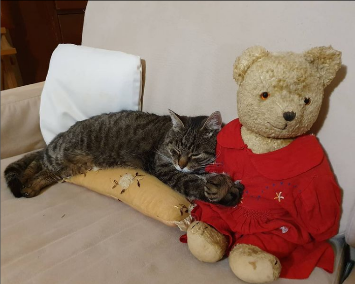 Ob takih prizorih marsikomu zaigra srce, kajne? Lepo je, da sta svoj dom (in srce) odprla živalici, ki jima vrača …