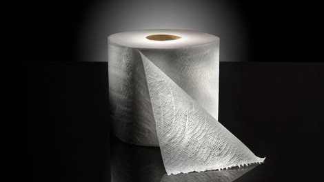 Ste se kdaj vprašali, kaj se je uporabljalo pred toaletnim papirjem?