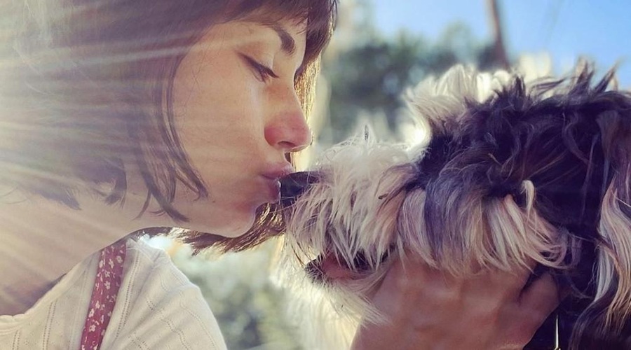 Razmišljate o kužku? Veterinar razkriva, katera pasma je najbolj primerna za v stanovanje (foto: Profimedia)
