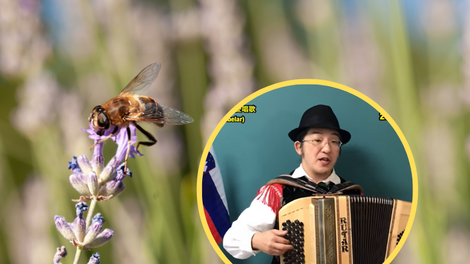 Ne boste verjeli! Japonec na frajtonarici zaigral Slake