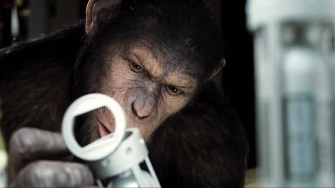 Frank Westerman o iskanju ’prve opice, ki je splezala z drevesa’ v antropološki detektivki Mi, homini