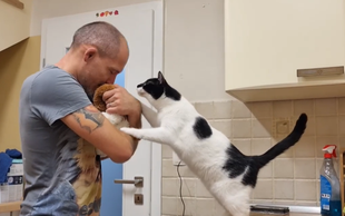 VIDEO: So mačke ljubosumne? Jutka iz Zavetišča Horjul je dokazala, da še kako