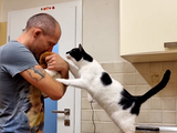 VIDEO: So mačke ljubosumne? Jutka iz Zavetišča Horjul je dokazala, da še kako
