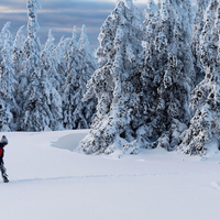 Temperature do –21 °C: najdaljše hladno obdobje v več kot desetletju in ni še konec
