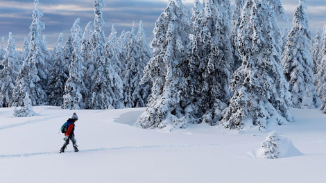Snežinke bodo prekrile celotno Slovenijo: v nekaj urah lahko zapade tudi do 10 centimetrov snega