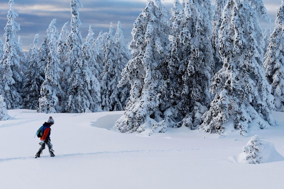 Temperature do –21 °C: najdaljše hladno obdobje v več kot desetletju in ni še konec (foto: Profimedia)