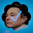 Elon Musk najavil novo 'genijalno spremembo' na platformi Twitter