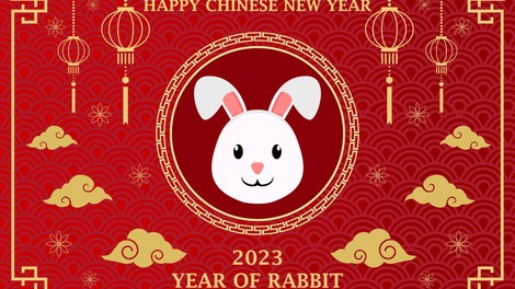 Kitajski horoskop 2023 (napoved): kaj obljublja leto vodnega zajca