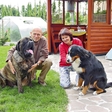 Janez Drnovšek je imel s psi posebno vez, ena pasma pa mu je bila še posebej pri srcu