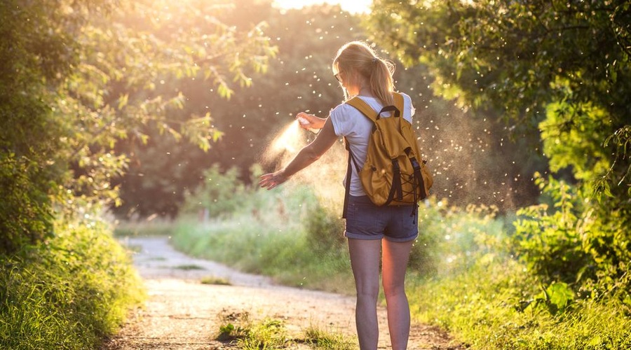 Enostaven trik, ki odžene komarje, ose in ostalo mrčes (foto: shutterstock)