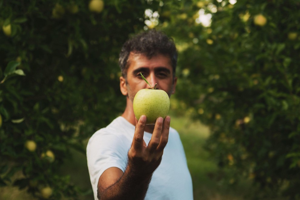 JABOLKA Raziskave kažejo, da lahko uživanje enega do dveh jabolk na dan pomaga zmanjšati tveganje za bolezni srca in ožilja. …
