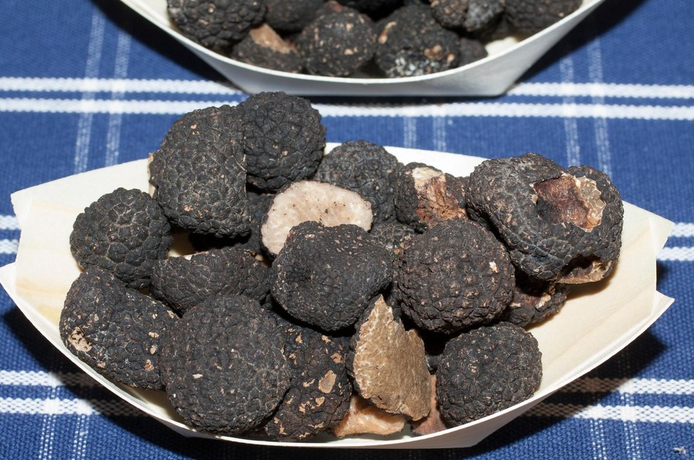 Na gastronomsko pustolovščino v bližino Zagreba in odkrivanje skritega raja črnega tartufa (foto: Profimedia)