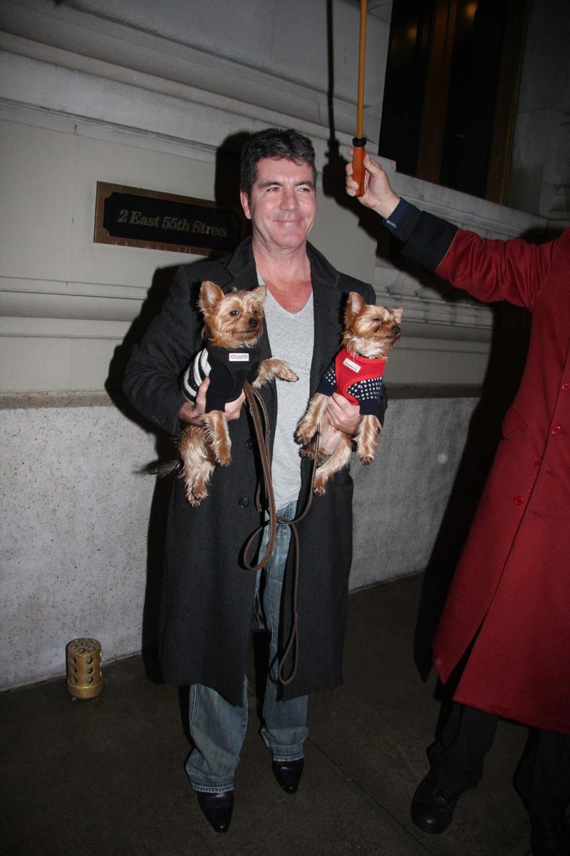 Simon Cowell s svojima jorkširskima terierjema, ki naj bi jih nekoč kloniral.