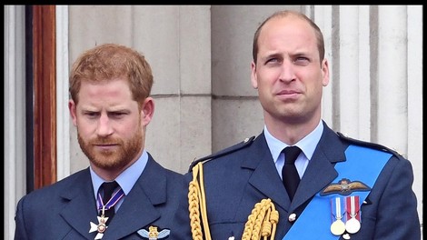 Je mogoče, da sta princ Harry in princ William blizu tega, da zakopljeta bojno sekiro?