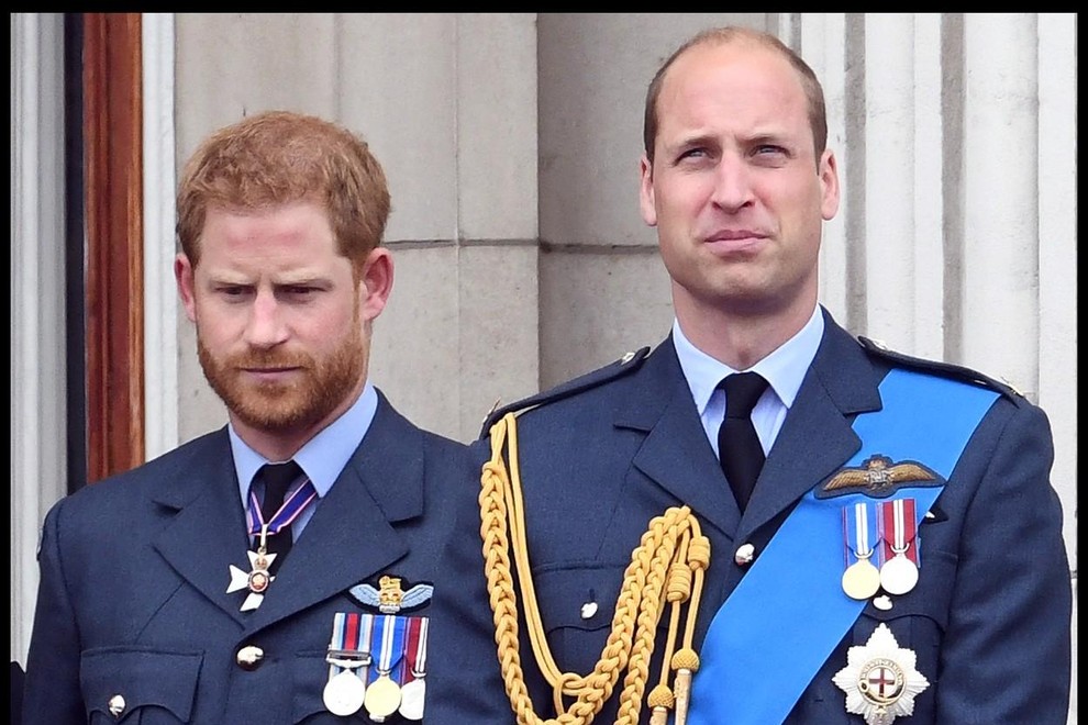 princ Harry in princ William