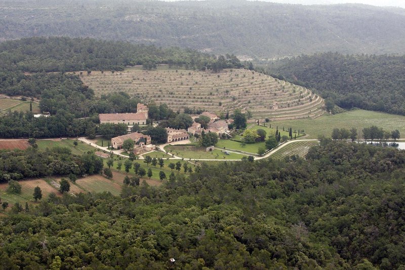 V ozadju pogled na vinograde posestva Miraval.