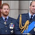 Princ Harry in princ William
