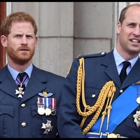 Ni Kate Middleton, ni kralj Karel: Samo on lahko prekine 'vojno' med princem Williamom in Harryjem