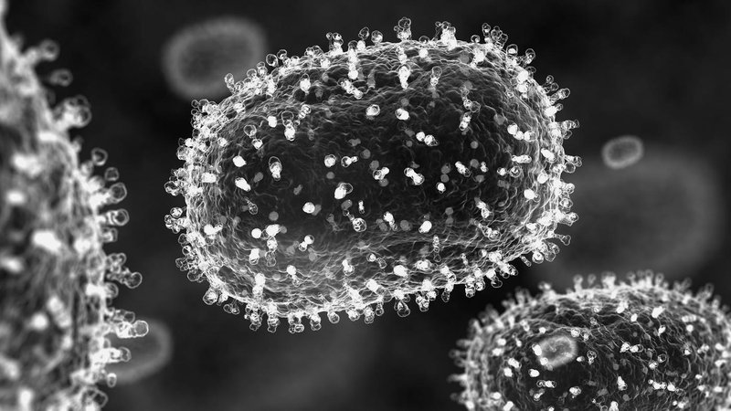 GLOBALNA GROŽNJA: odkrili novo mutirano vrsto mpoxa, ki ima 'potencial pandemije'
