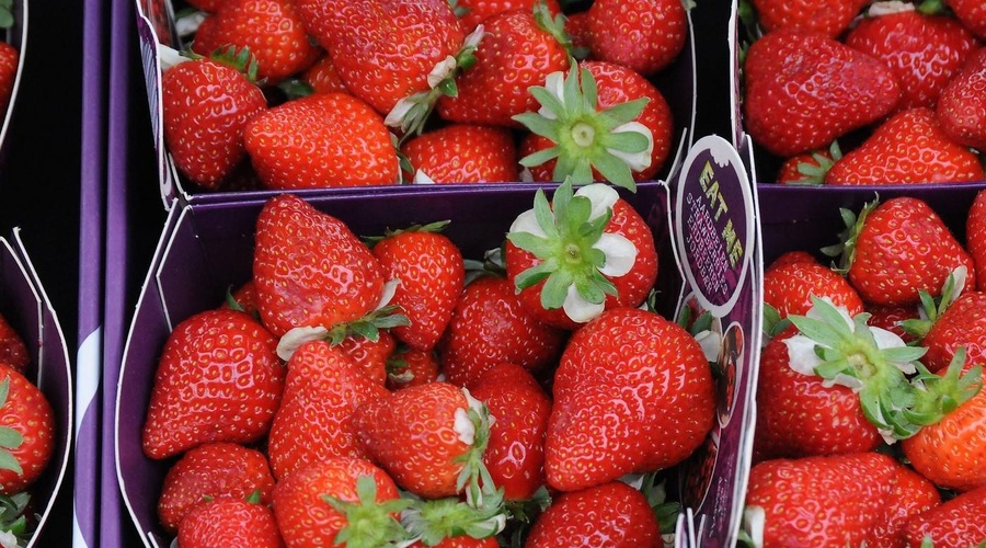 Uživate v sezoni jagod? S tem trikom bodo v hladilniku cel teden sveže (foto: Profimedia)
