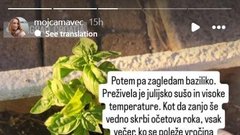 Mojca Mavec
