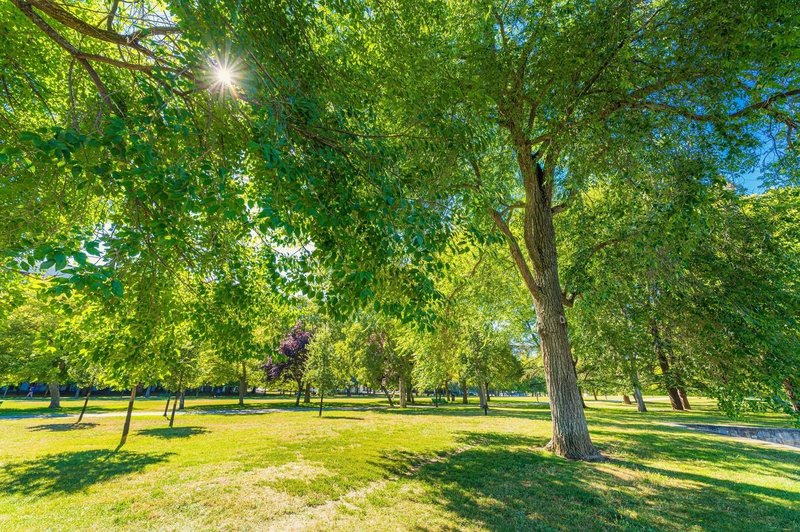 To je naselje v prestolnici, za katerega pravijo, da je edina preostala oaza za normalno življenje (foto: Profimedia)