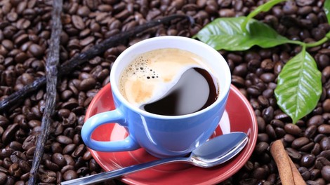 Kava