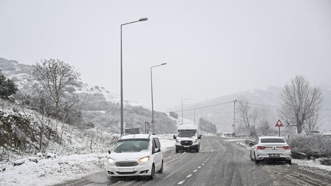 Avtomobili