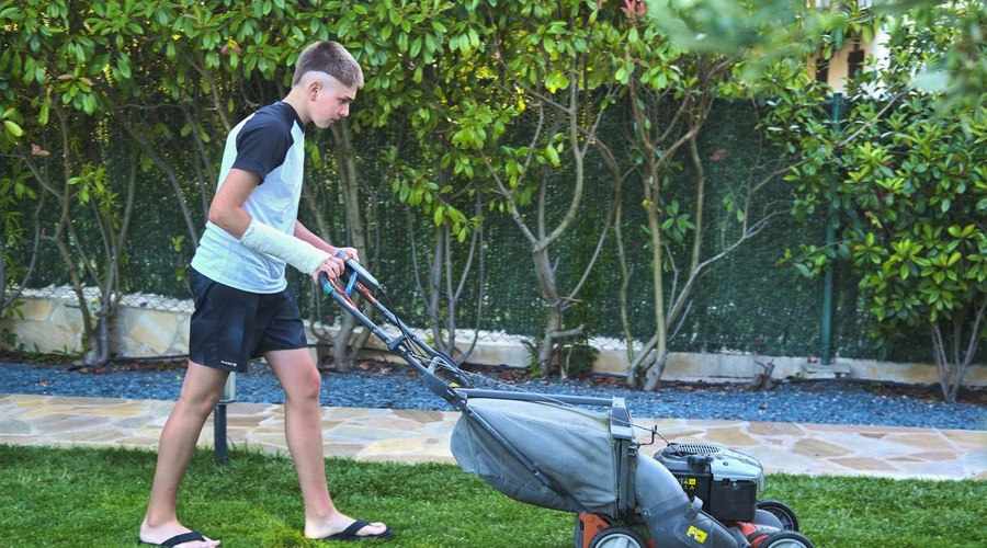 Od 1. marca do 30. septembra visoke kazni za takšno početje na domačem vrtu (foto: Profimedia)