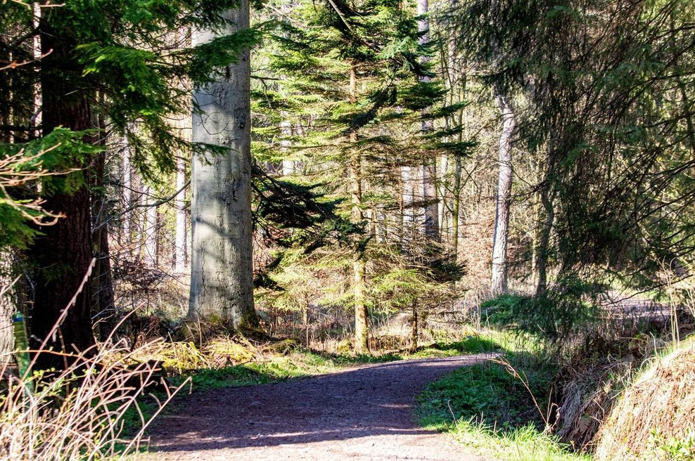 Postavili kamere, sledil šok! Nenavaden prizor iz narave že obnorel splet! (foto: Profimedia)