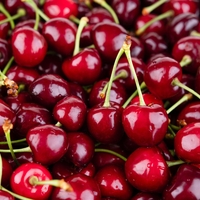 Kaj se zgodi, če pojeste češnjo, v kateri se skriva črv?