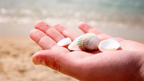 Domov je prinesla kup školjk s plaže in obžalovala - ko boste videli posnetek, boste razumeli zakaj