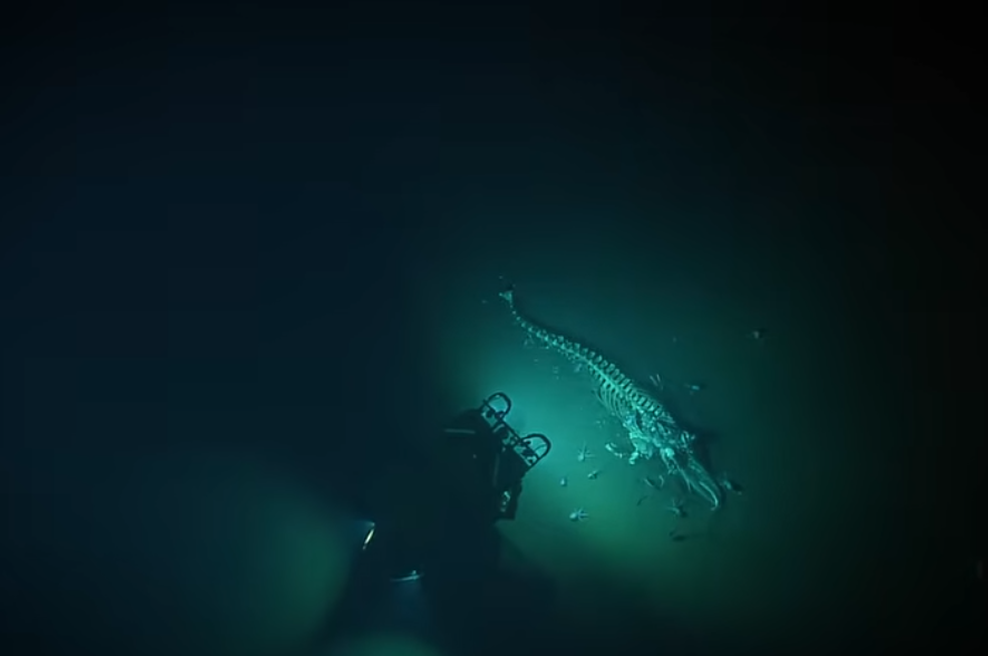 Znanstveniki so posneli srhljiv prizor na globini 3200 metrov, tega nihče ni pričakoval (foto: Zaslonska slika/Youtube/EVNautilus)