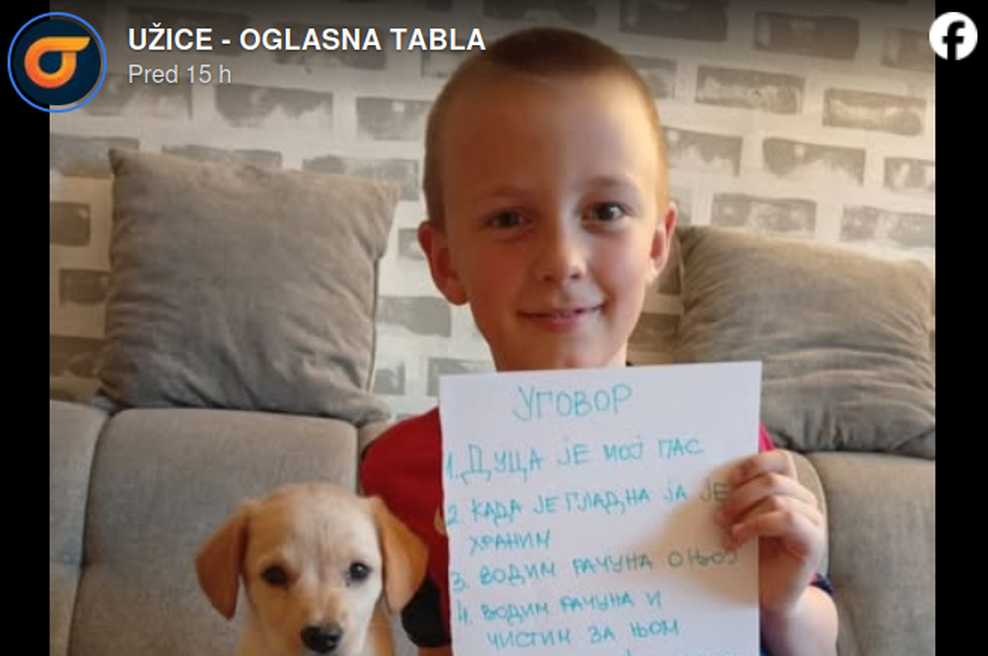 Bi vaš otrok podpisal takšno pogodbo? Deček se je z vsem strinjal, le da bi dobil psa (foto: Zaslonska slika/ Facebook UŽICE - OGLASNA TABLA)