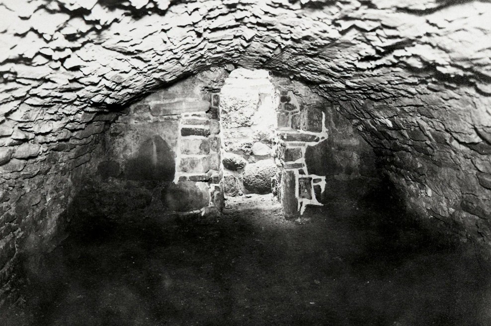 Pod hišo odkril skriti nacistični bunker, napis na eni od sten pa zledeni kri v žilah (foto: profimedia)