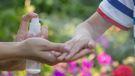 Znanstveniki vedo, katera krvna skupina privlači komarje bolj kot druge