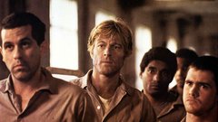 Robert Redford