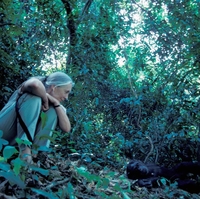 Srce parajoče zadnje sporočilo Jane Goodall le nekaj mesecev pred smrtjo