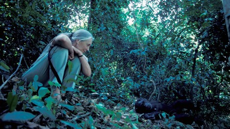 Srce parajoče zadnje sporočilo Jane Goodall le nekaj mesecev pred smrtjo