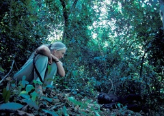 Srce parajoče zadnje sporočilo Jane Goodall le nekaj mesecev pred smrtjo