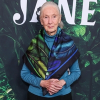 Zadnje besede Jane Goodall - tudi o tem, koga bi z Muskom poslala v vesolje
