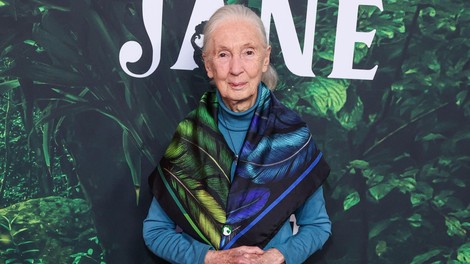 Zadnje besede Jane Goodall - tudi o tem, koga bi z Muskom poslala v vesolje