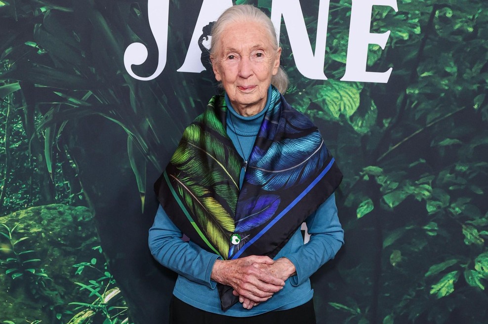 Zadnje besede Jane Goodall - tudi o tem, koga bi z Muskom poslala v vesolje (foto: profimedia)
